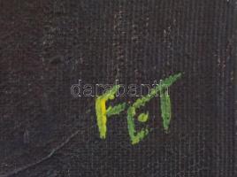 FET jelzéssel: Az ég alja. Olaj, vászon. 30x30 cm