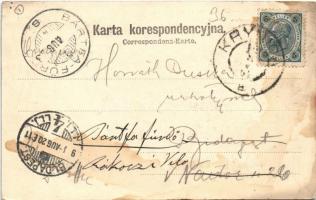 1904 Krynica, Krynica-Zdrój; Krynicy od zachodu / general view, spa (fl)