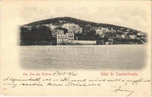 1905 Constantinople, Istanbul; Les Ilses des Princes / Princes Islands, Hotel Calypso / Adalar (EK)