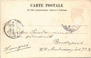 1905 Constantinople, Istanbul; Les Ilses des Princes / Princes' Islands, Hotel Calypso / Adalar...