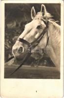 1943 Horse. Amag 67792/2. (EK)
