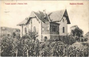 1909 Balatonalmádi, Tulipán nyaraló a Balaton felől, szőlőskert. Pethe Viktor kiadása