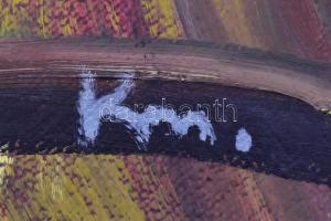 Kelemen Marcell (1964-): Kávéház. Olaj vászon, jelzett. 80x100 cm