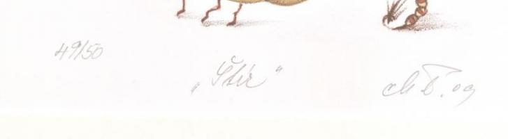 Azonosítatlan jelzéssel: Mese illusztráció. Litográfia, papír, Jelzett, sorszámozott 49/50. Üvegezet...