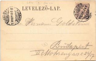 1900 Léka, Lockenhaus; Schloss und Ruine / castle and ruins / vár és romok