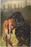 Hunting, hunters dog with fox. K.V.B. Serie 9005. artist signed (EK)