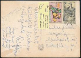 A magyar birkózó válogatott  üdvözlőlapja Teplicéből. Polyák, Gurics, Csatári, Varga, Farkas, Pécsi aláírásával