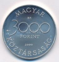 2000. 3000Ft Ag "Veszélyeztetett állatvilág - hód" kapszulában T:BU 
Adamo EM165