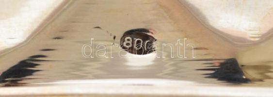 Ezüst (Ag) rácsos, kínáló tál. Jelzett, szép állapotban. d: 15 cm, m: 7 cm. 226g