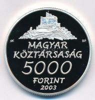 2003. 5000Ft Ag "Hollókő" kapszulában T:PP
Adamo EM185