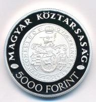 2005. 5000Ft Ag "Bocskai István" kapszulában T:PP 
Adamo EM199