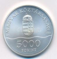 2008. 5000Ft Ag "XXIX. Nyári Olimpiai Játékok - Peking 2008" kapszulában T:BU
Adamo EM217