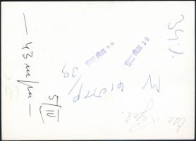 cca 1950 Vidámpark, fotó, hátulján írásokkal, 17,5x12,5 cm