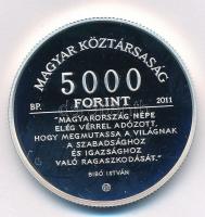 2011. 5000Ft Ag "Bibó István" kapszulában T:PP 
Adamo EM241