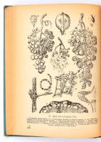 Kozma Pál: Szőlőműveléstan II. . Bp., 1953, Élelmiszeripari és Begyűjtési Könyv- és Lapkiadó Vállala...