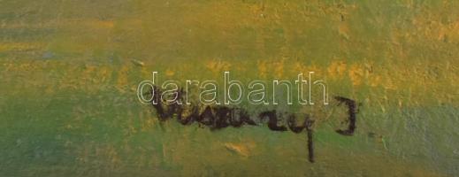 Vaszary J. jelzéssel: Velence. Olaj, karton. 53x70,5 cm