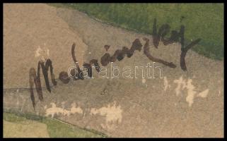 Mednánszky jelzéssel: Házak. Akvarell, papír, kissé sérült. 29x31,5 cm