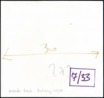 Molnár Edit(1933-): Hatvany Lajos, hátoldalon feliratozott fotó, 18×19 cm