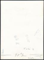 Virág ellenfényben, jelzetlen fotóművészeti alkotás, 23×17 cm