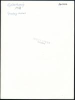 Inkey Tibor (1908-1998): Büszkeség - Gazdag szüret, pecséttel jelzett, feliratozott fotó, 24×18 cm