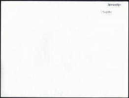 Inkey Tibor (1908-1998): Ökörfogat, jelzetlen fotó, 18×24 cm