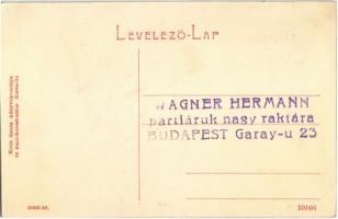 Kisvárda, Csillag utca, Izraelita templom, zsinagóga, Braun Nachman üzlete. Klein Gyula kiadása (W.L...