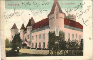 1906 Nagykároly, Carei; Gr. Károlyi kastély / castle (EK)