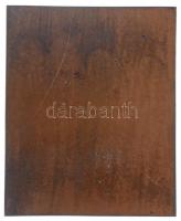 Csillag István (1881-1968) 1929. "Dr. Báró Korányi Frigyes" Br plakett (58x70mm) T:1-