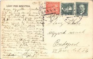 1934 Alsórétfalu, Lúki, Lúky pod Makytou; zsinagóga / synagogue