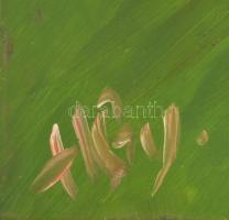 Olvashatatlan jelzéssel. Papagáj pár. Olaj, karton, fa keretben. 39x30 cm