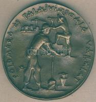 DN "25 év szolgálatért - Földmérő és Talajvizsgáló Vállalat" extrém nagyalakú Br plakett T...