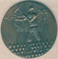 DN "Nyilas csillagjegy" Br "névjegy" plakett T:2