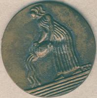 DN "Vízöntő csillagjegy" Br "névjegy" plakett T:2