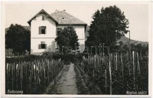 1931 Badacsony, Neptun szálló, szőlőskert. photo