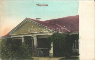 Tápiógyörgye, Prónay kastély (lebontott), létra (fa)