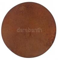 Hetés György (1921-1998) DN "Fodor József 1843-1901" Br emlékérem (~78mm) T:2-