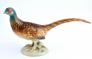 Porcelán fácán, kézzel festett, jelzés nélkül, formaszámmal, hibátlan, m. 20 cm, h: 35 cm