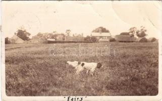 1907 Dog, Fairy, photo (fa)
