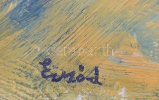 Emőd jelzéssel: Zöldellő táj. Olaj, karton, fa keretben, 39,5x52 cm