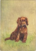 Sussex Spaniel, dog art postcard, minicard (8,8 cm x 12,7 cm) Emb.