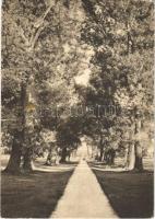 1942 Hévíz, sétaút Hévízről Keszthelyre (kis szakadás / small tear)