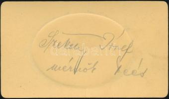 cca 1875 Székely József mérnök, domborított, porcelánkép utánzatú fotó, Veress Ferenc (1832-1916) je...