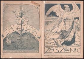 1907 A Zászlónk c. ifjúsági lap 5 száma