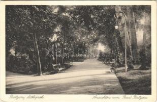 1913 Pöstyén, Piestany; park, sétány / promenade, park (EK)