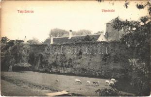 1909 Tata, Tata-Tóváros; vár. Lindenberg Adolf kiadása (EK)