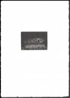 Kurucz István András (1960-): Hal (Tanulmány I). Rézkarc, papír, jelzett és datált (Kurucz István '94). Művészpéldány E.A. XIV/XV. 6,5x9,5 cm