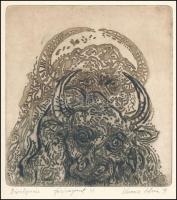 Kurucz István András (1960-): Bivalynász. Rézkarc, papír, jelzett és datált (Kurucz István '91)...