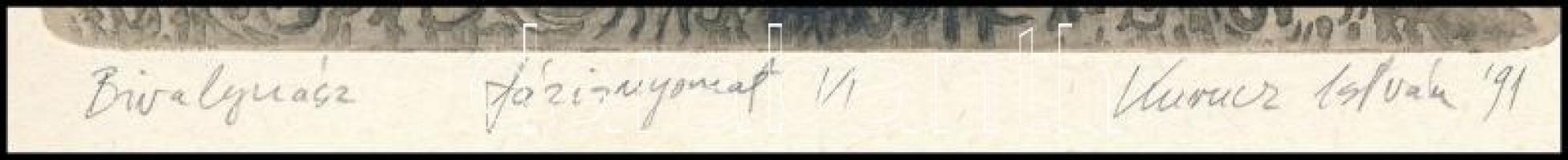 Kurucz István András (1960-): Bivalynász. Rézkarc, papír, jelzett és datált (Kurucz István '91)...