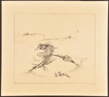 Almásy Aladár (1946-): A kicsi macedón. Rézkarc, papír, jelzett és datált (Almásy Aladár 1980). Prób...