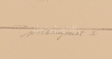 Almásy Aladár (1946-): A kicsi macedón. Rézkarc, papír, jelzett és datált (Almásy Aladár 1980). Prób...